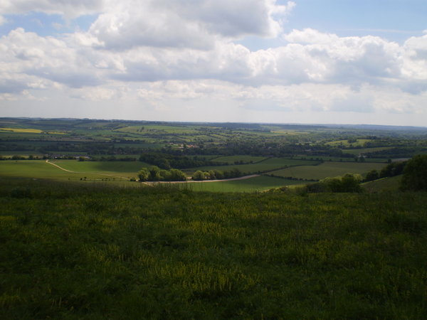 Scene of the Downs