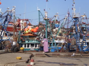 The port at Essaouira