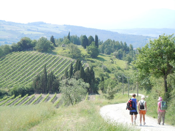 Walking through the Tuscan countryside