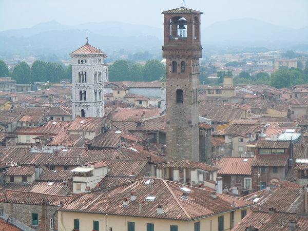 View of Lucca from tower