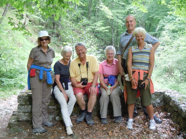 The group on its forest walk