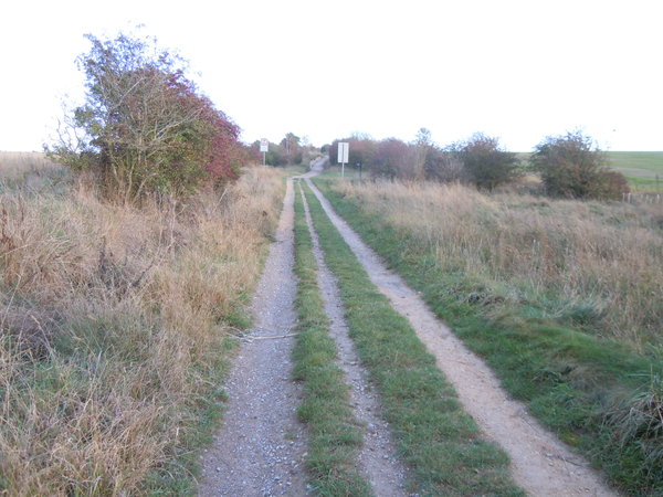 The Ridgeway - along the ridge