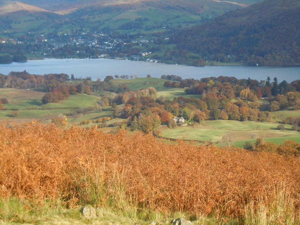 View from Latterbarrow