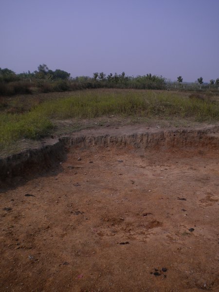 One of the pits we surveyed