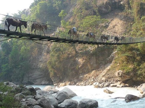A donkey train crossing the river