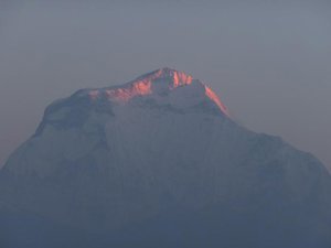 Dulagiri at sunrise from Poon Hill