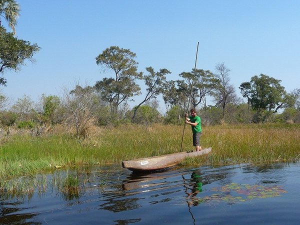 Ian poling a mokoro (dugout canoe) through the Delta