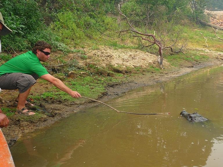 Ian trying to get the caiman closer