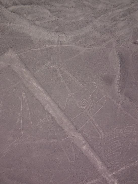 Nazca Lines - Whale