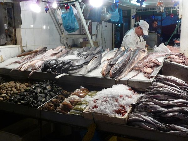 Fish Market, Santiago