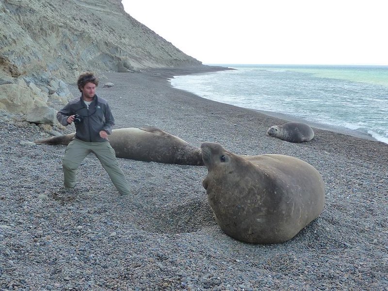 Ian & an Elephant Seal