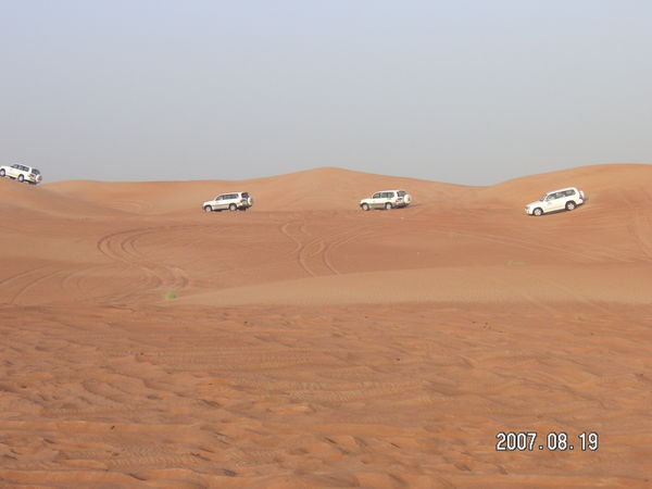 Our Desert Safari