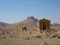 Camels and citadel - Palmyra