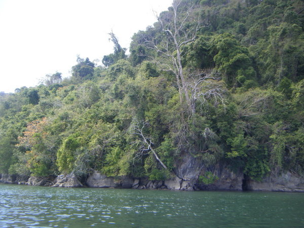 An island close up