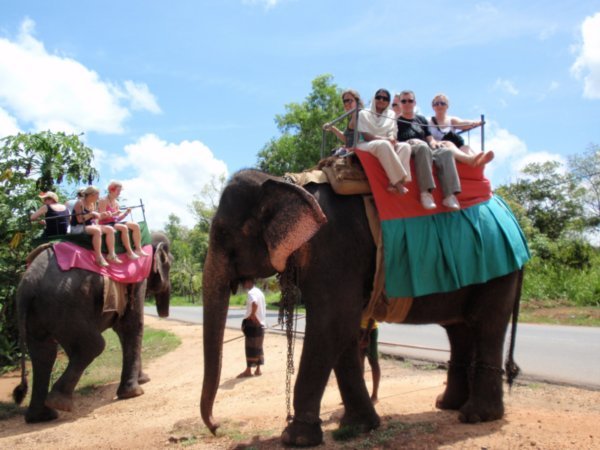 On the elephant