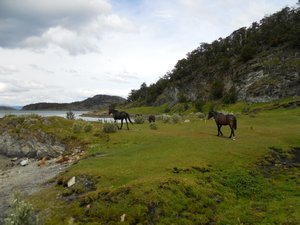 Nationaal park Tierra del Fuego