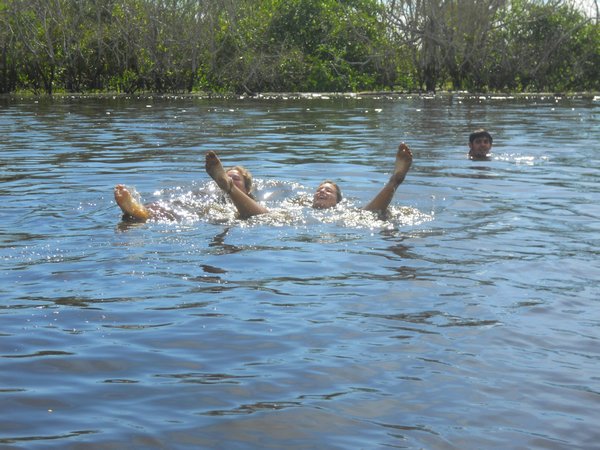 pampas zwemmen met dolfijnen