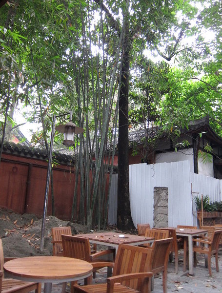Bamboo at the Back of the Patio