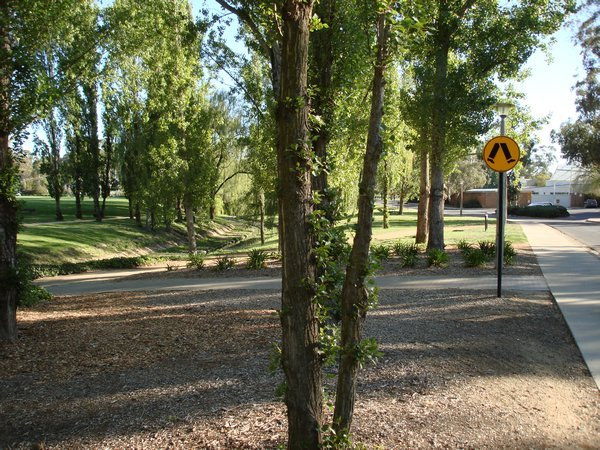 A view of the ANU campus