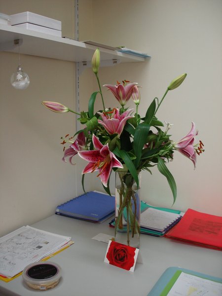 even after a week in airco and without sun the lilies almost all opened!