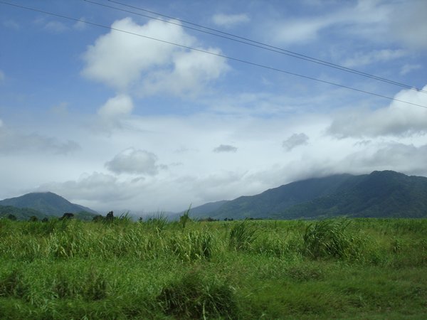 On the way from Cairns to Port Douglas impressed by the beautiful landscape