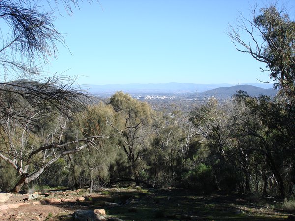 View from almost the top of Mt Majura on Canberra