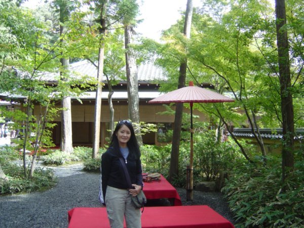 Tea Garden in Kiyomizu Temple