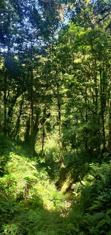 Monteverde Cloud Reserve