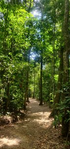 Curi Cancha Reserve, Monteverde