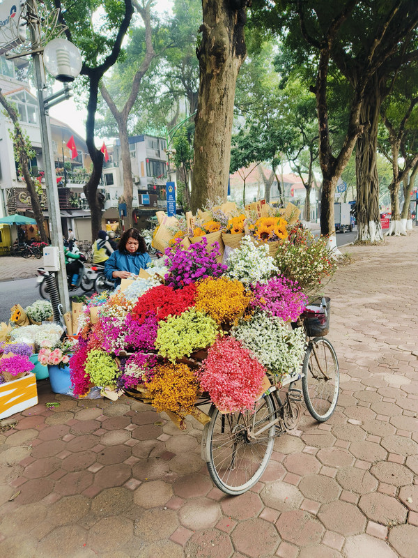 Photogenic Hanoi