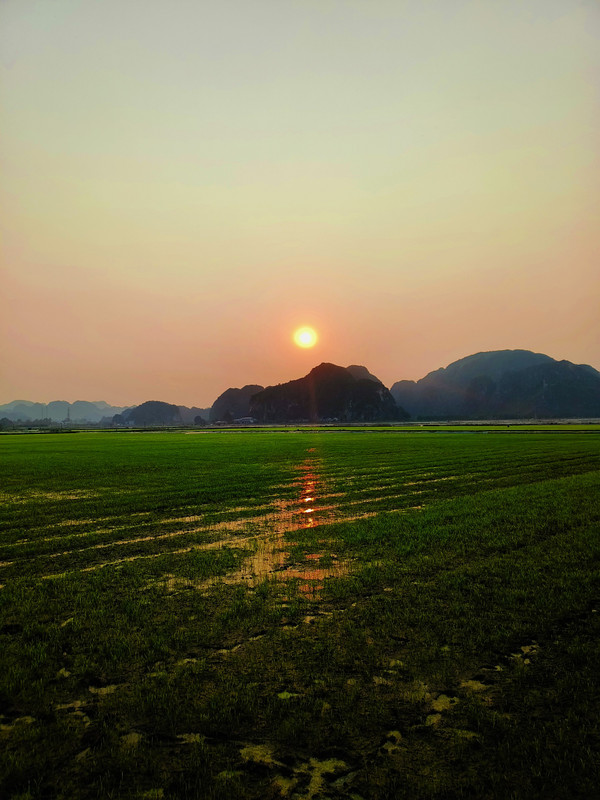Trang An rice fields