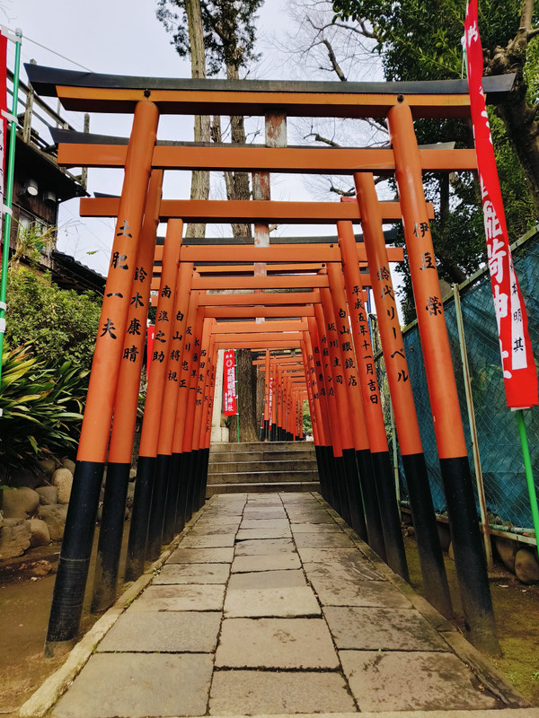Torii Gate at Ueno Toshogu Shrine
