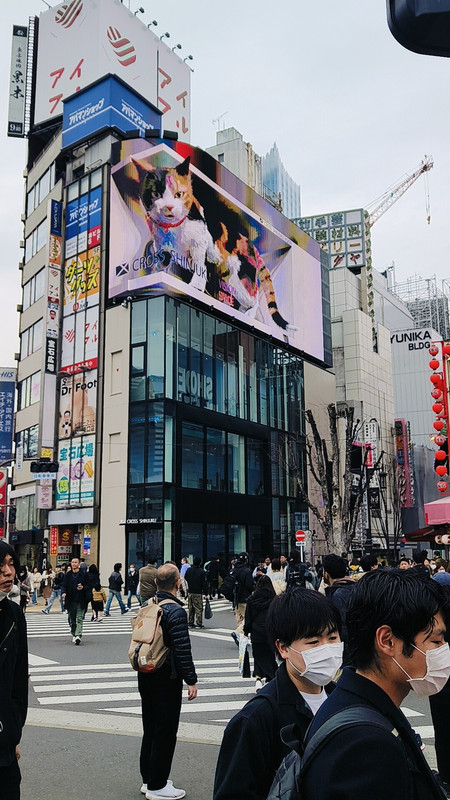 Shinjuku 3D Billboard 