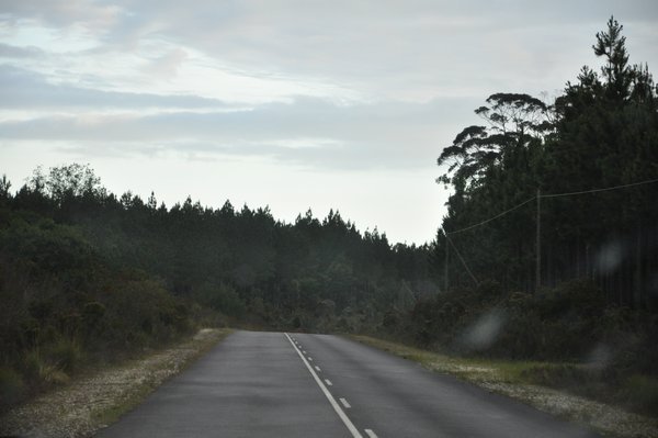 Drive to Storms River