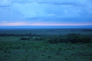 Last shot of Masai Mara