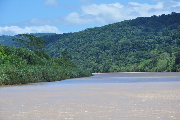 Umganzi River seen from boat