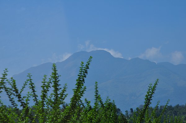 View from the drive at Sulthan Bathery