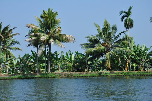 Lovely backdrop to backwaters