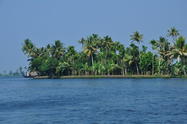 Endless spans of coconut trees and silent waters