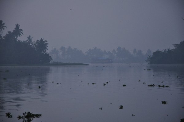 Morning light on backwaters