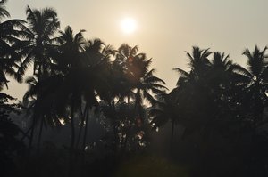 Sunrise on backwaters