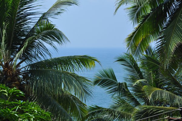 Room with a view at Kovalam