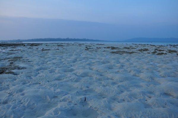 Seabed during low tide