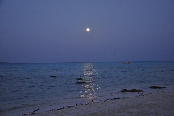 Moonlit sea