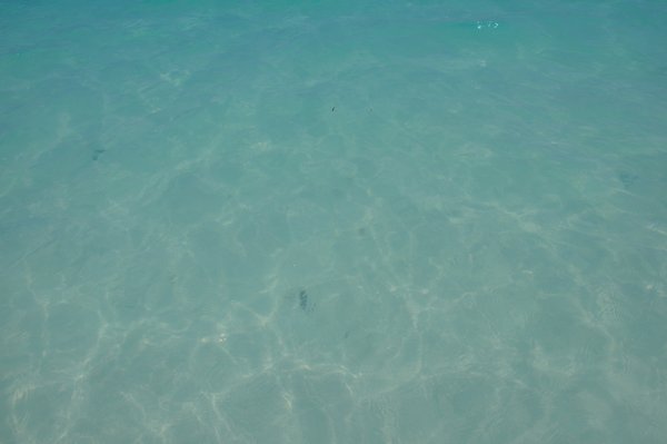 Transparent waters