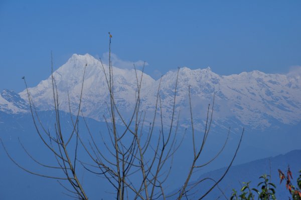 Kanchendzonga from Hanuman Tok, Gangtok