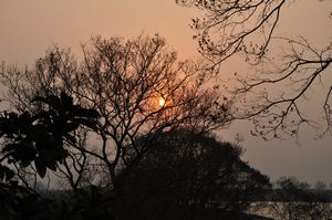 Sunset at Kaziranga