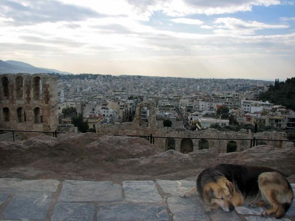 Makrygianni neighborhood and dog