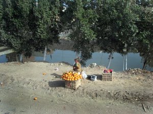 Little girl selling oranges.