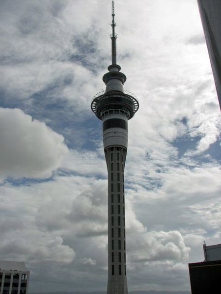 And View #2- the Sky Tower.
